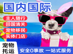 揭阳潮汕机场快递国际宠物托运 【国